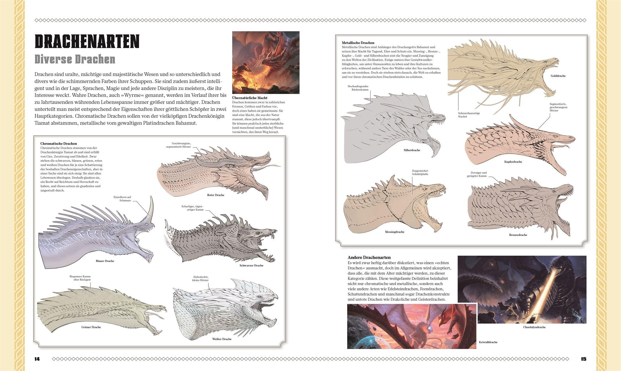 Beispielinhalt (Bild) Dungeons & Dragons Das Buch der Drachen