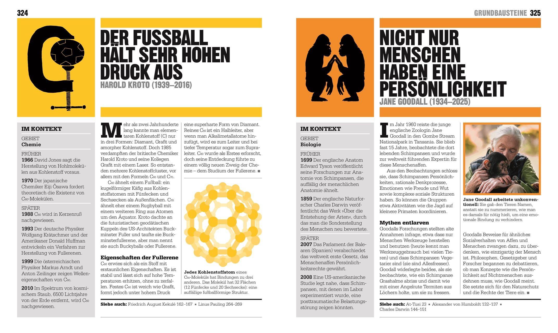 Beispielinhalt (Bild) Big Ideas. Das Wissenschafts-Buch