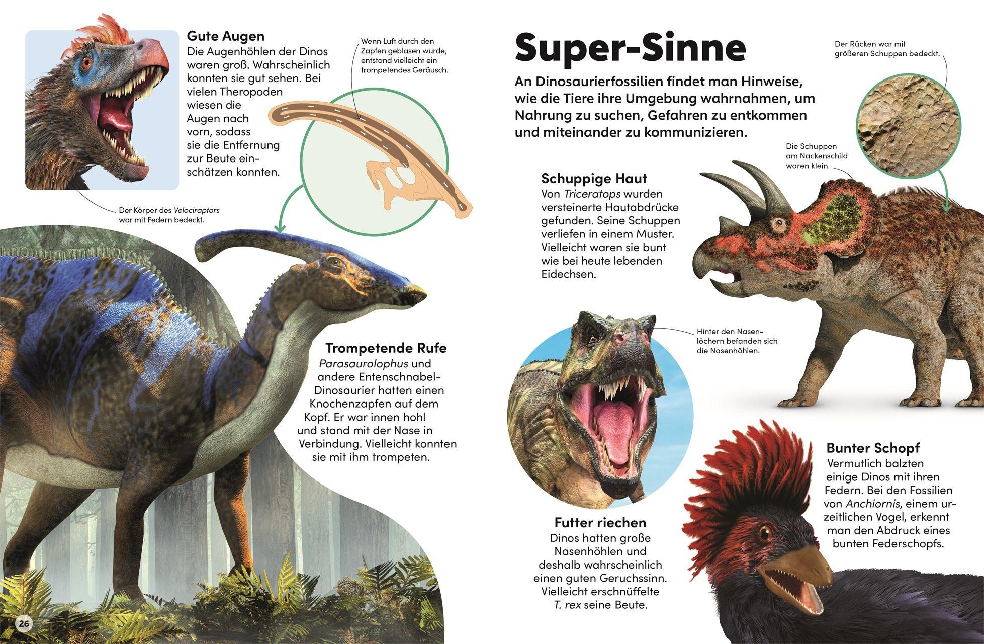 Beispielinhalt (Bild) memo Wissen Kids. Dinosaurier