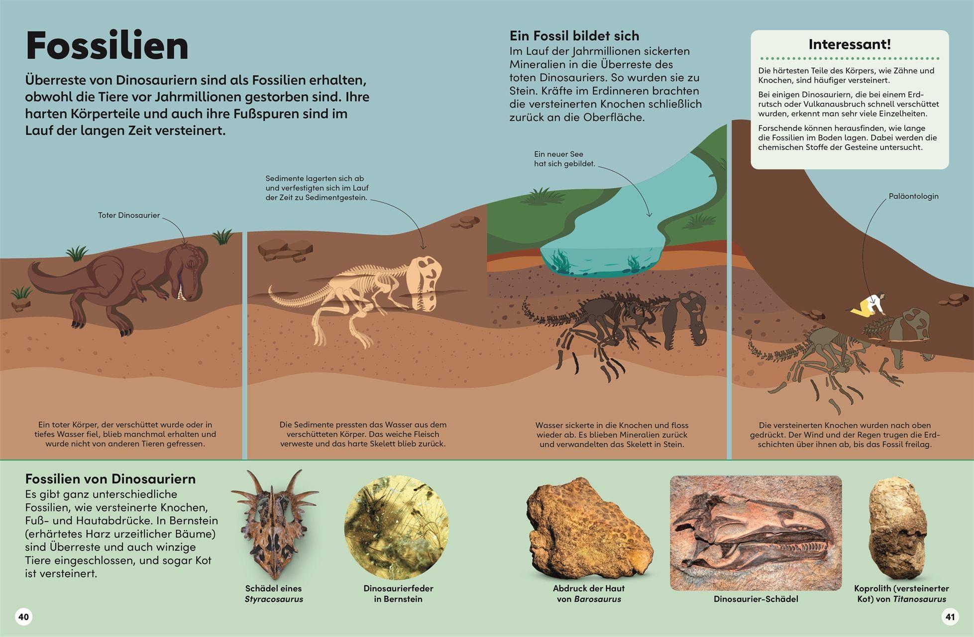 Beispielinhalt (Bild) memo Wissen Kids. Dinosaurier