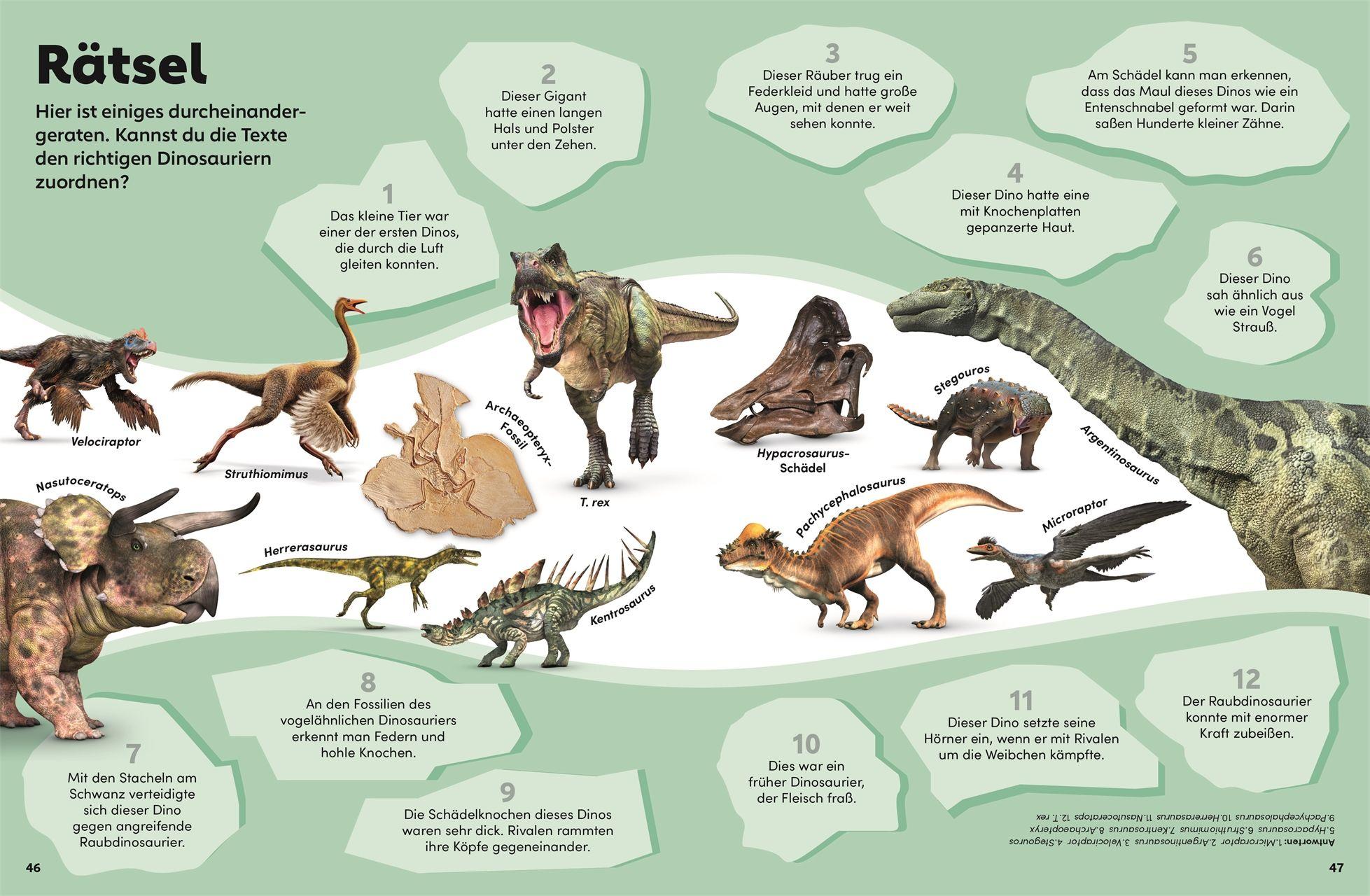 Beispielinhalt (Bild) memo Wissen Kids. Dinosaurier