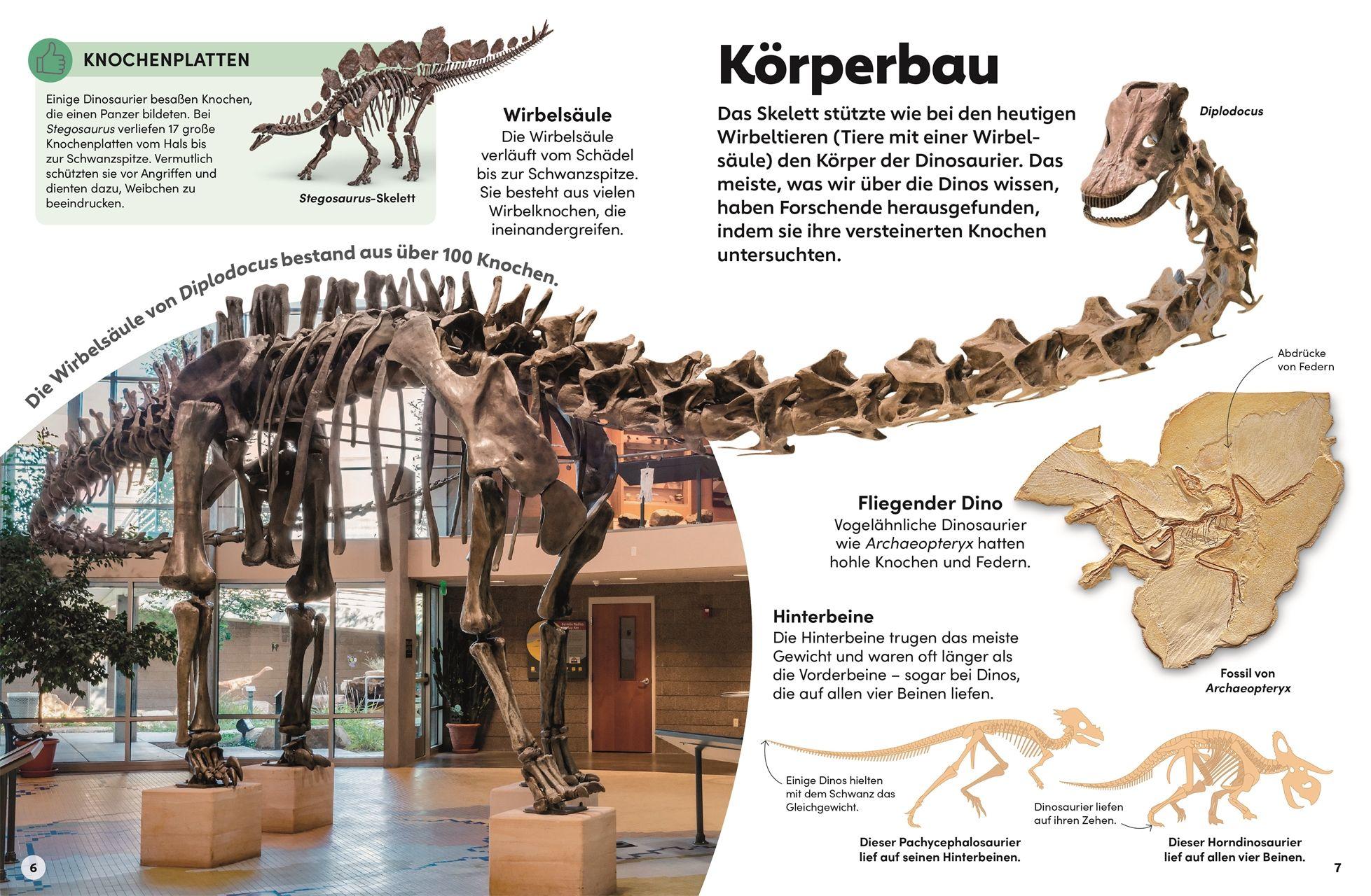 Beispielinhalt (Bild) memo Wissen Kids. Dinosaurier