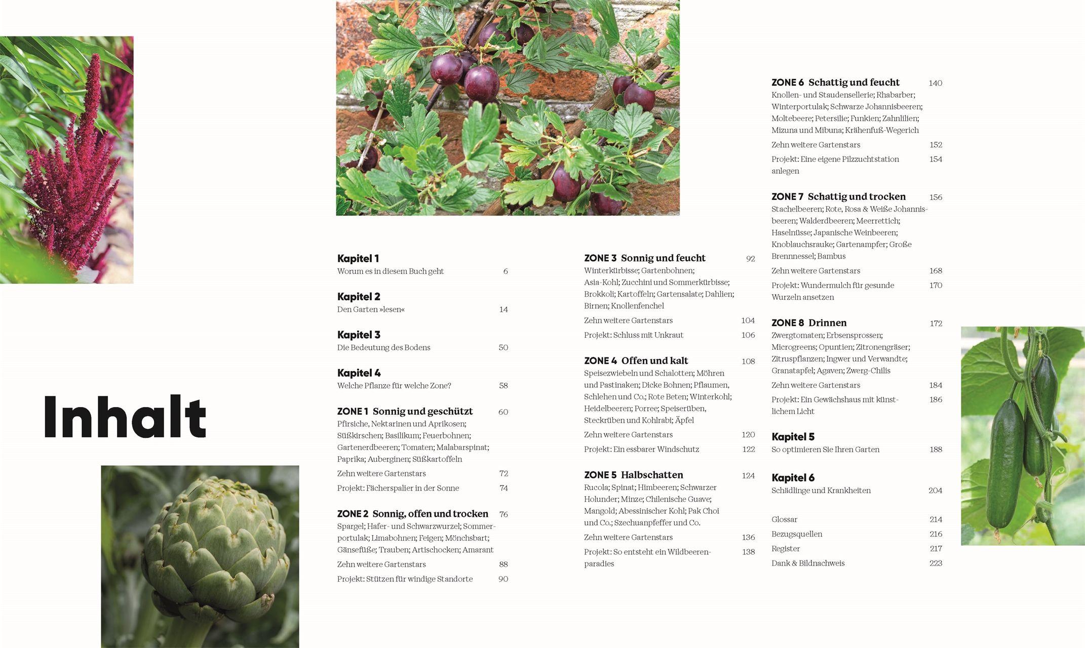 Beispielinhalt (Bild) Hier wächst was!