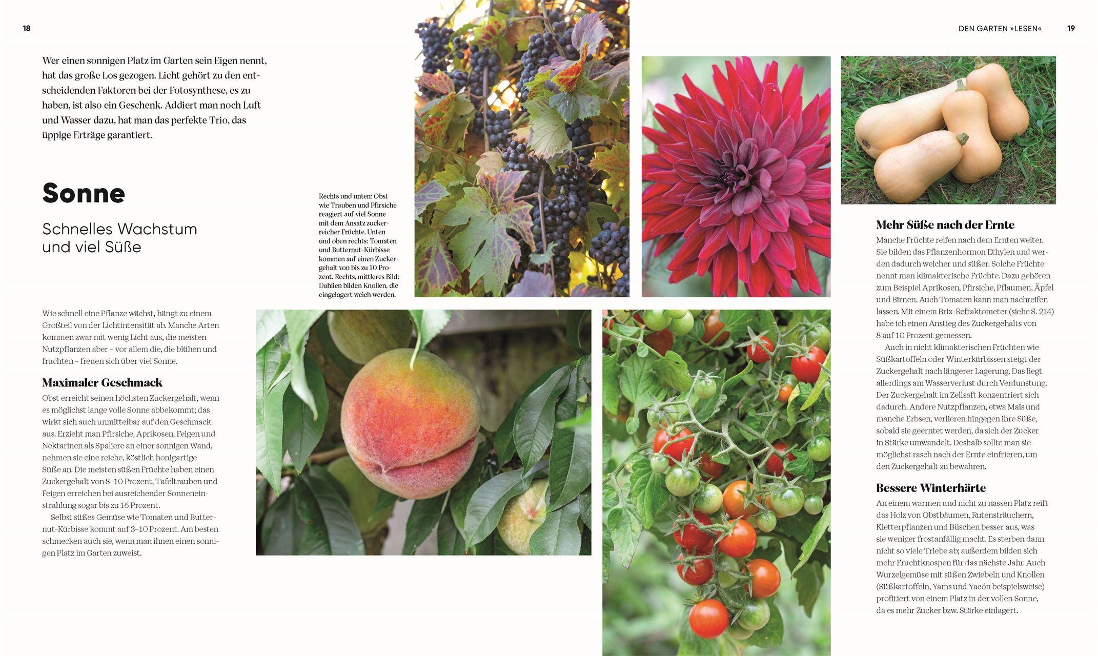 Beispielinhalt (Bild) Hier wächst was!