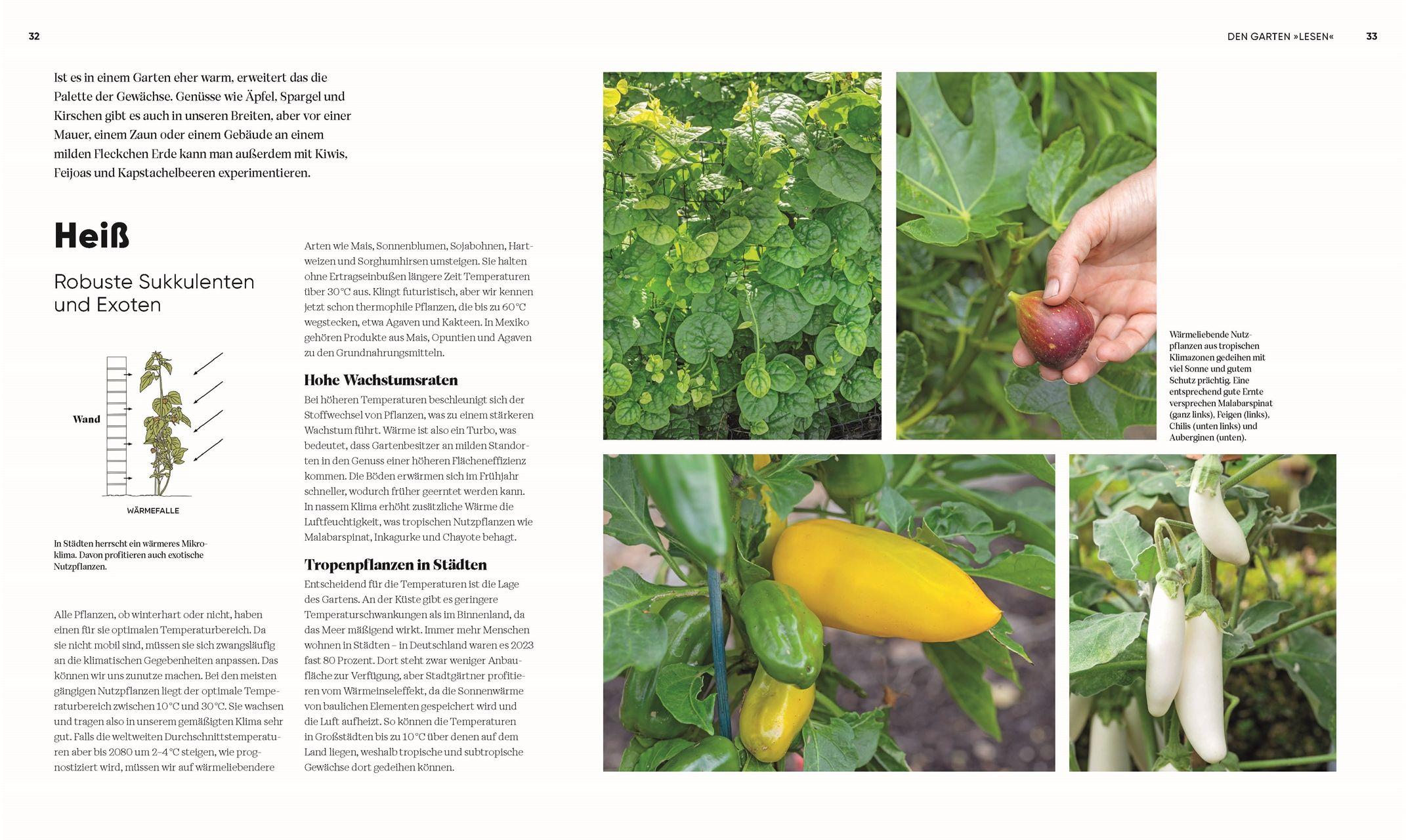 Beispielinhalt (Bild) Hier wächst was!