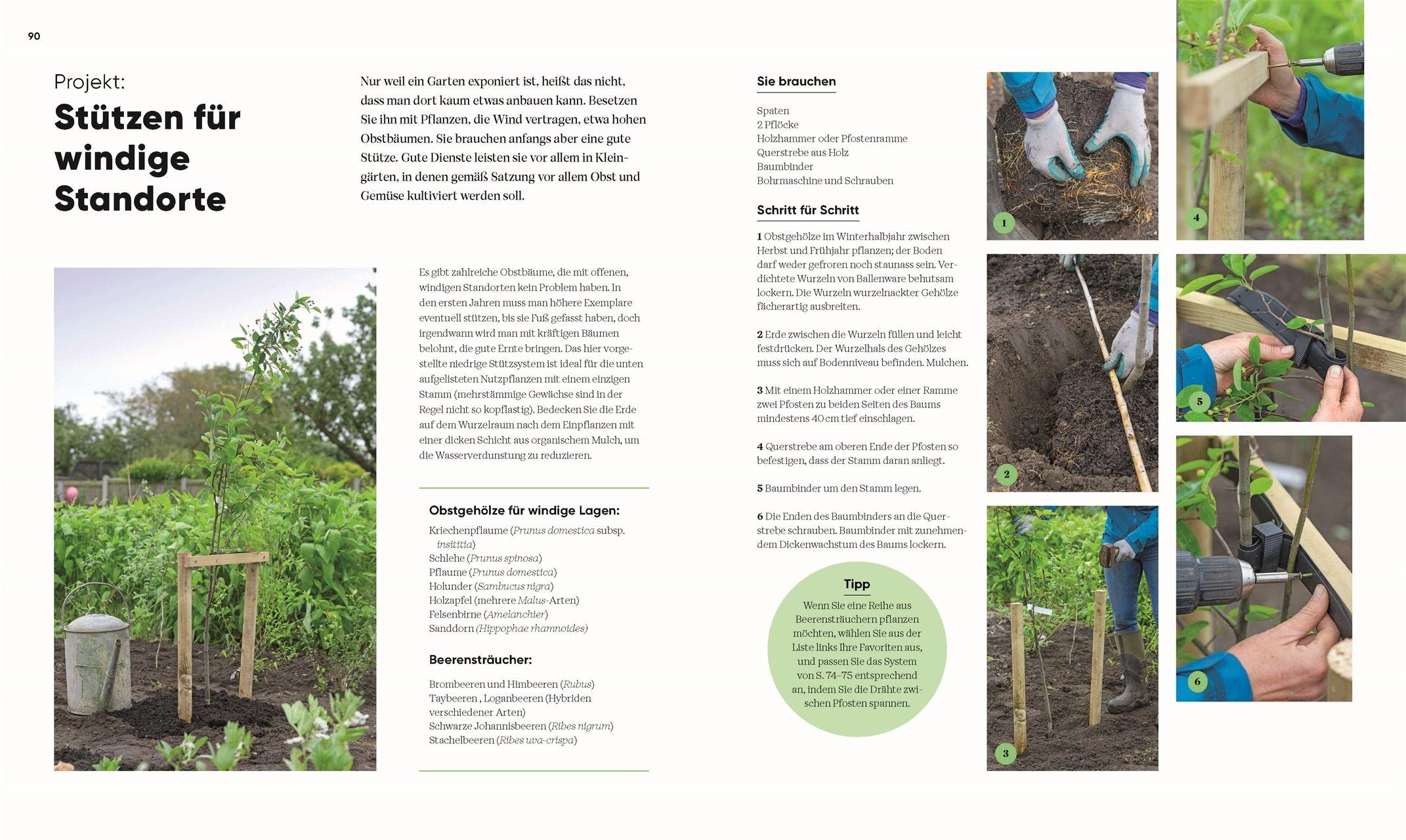 Beispielinhalt (Bild) Hier wächst was!