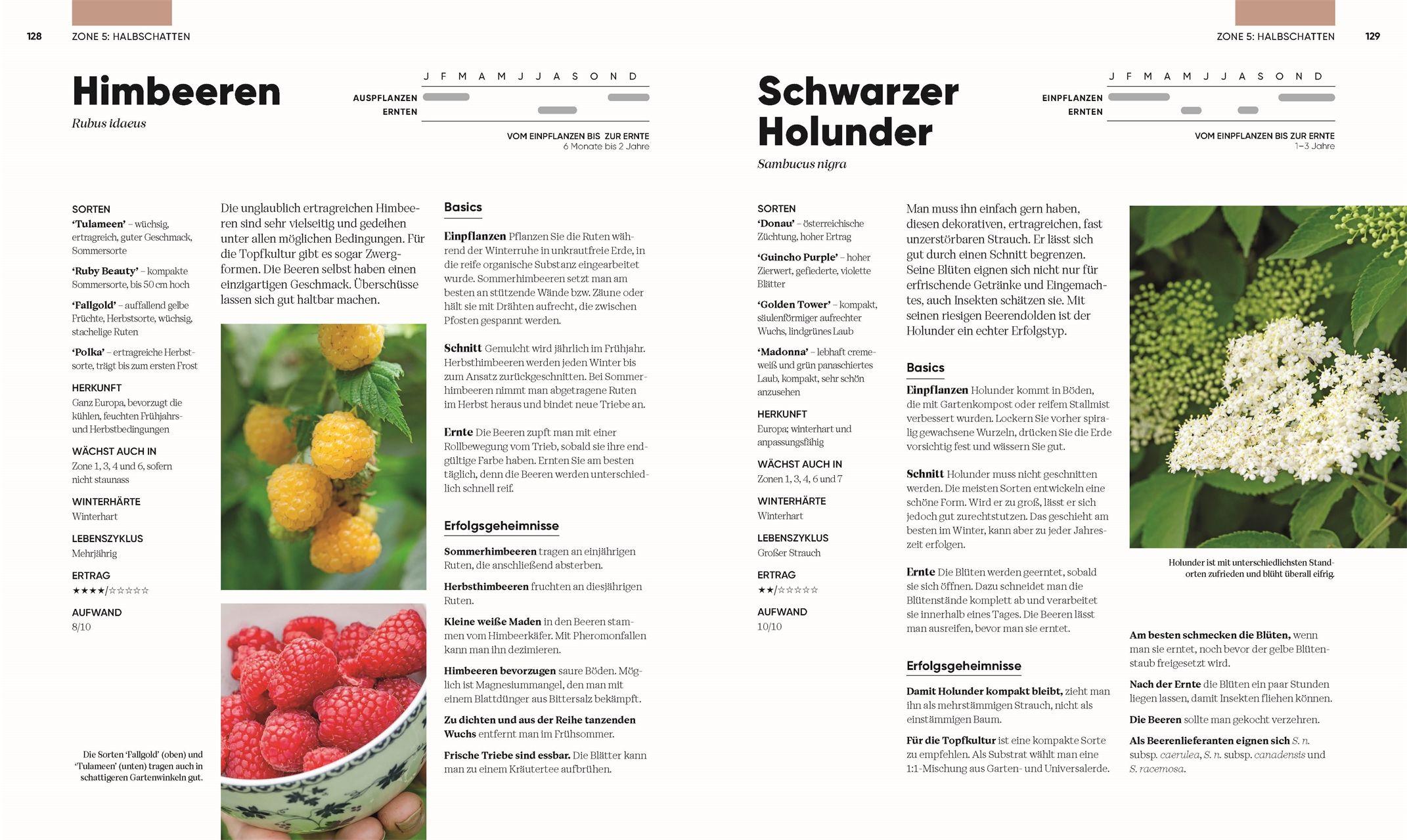 Beispielinhalt (Bild) Hier wächst was!