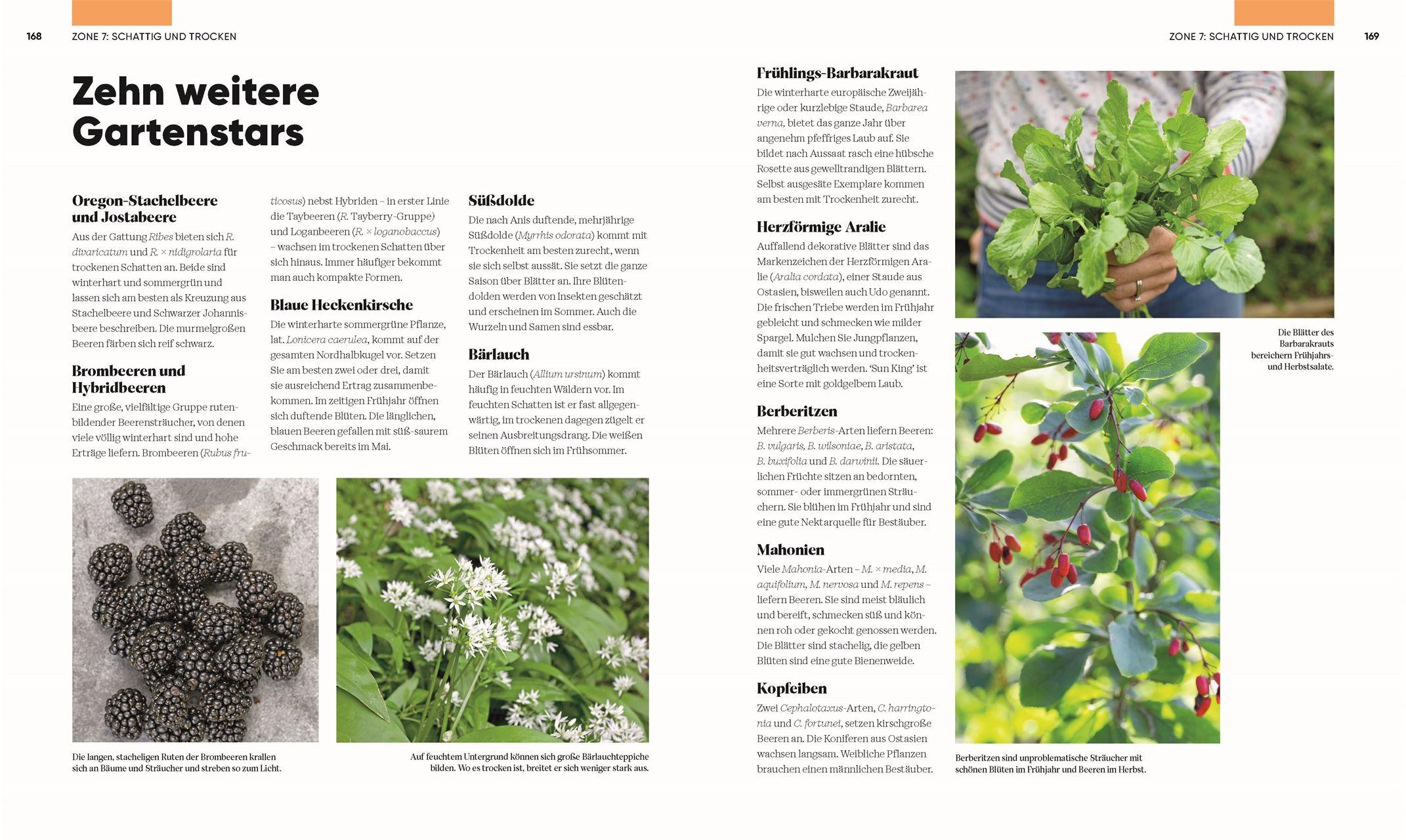 Beispielinhalt (Bild) Hier wächst was!