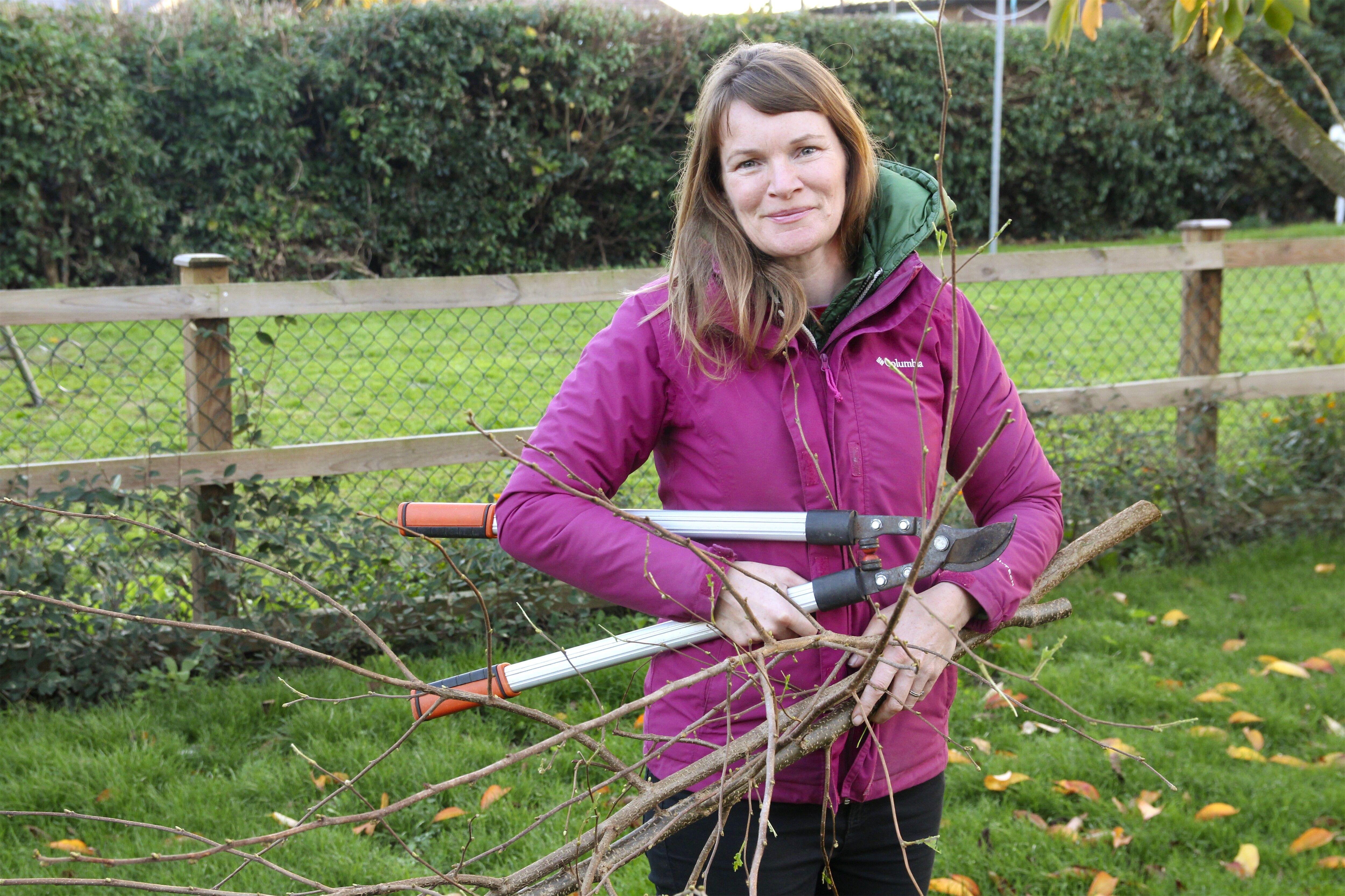 Autorenbild Hier wächst was!