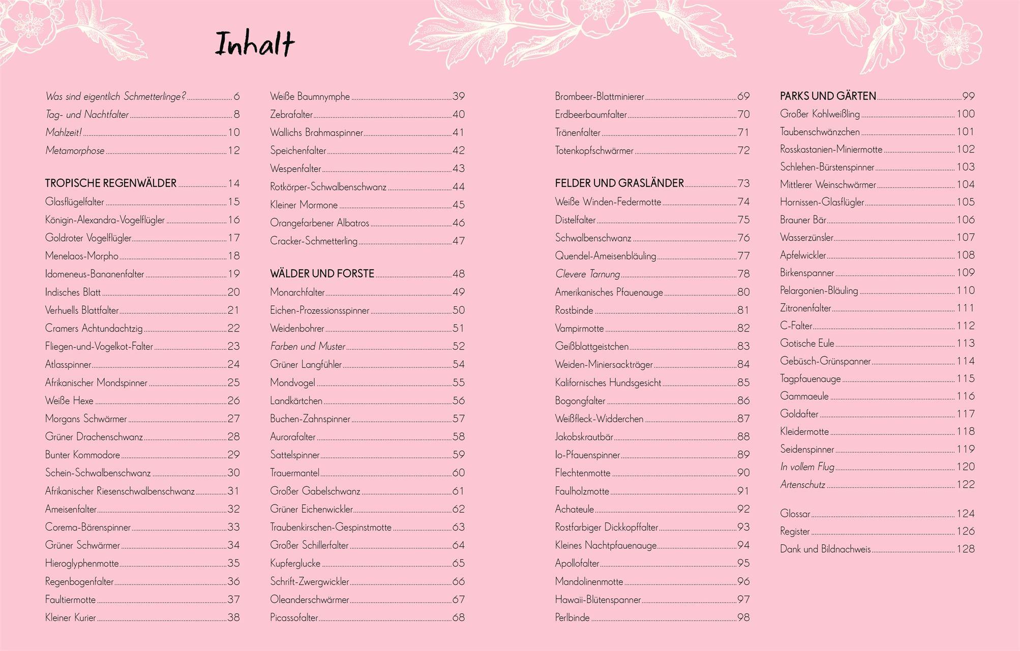 Beispielinhalt (Bild) Wundervolle Welt - Kleine Schätze. Schmetterlinge