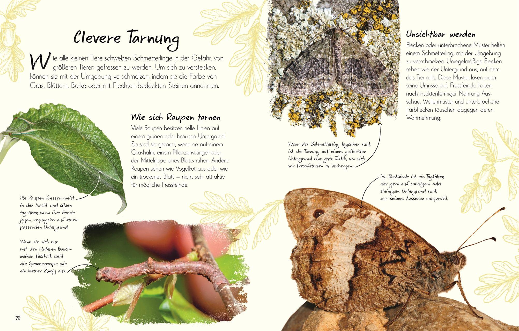 Beispielinhalt (Bild) Wundervolle Welt - Kleine Schätze. Schmetterlinge