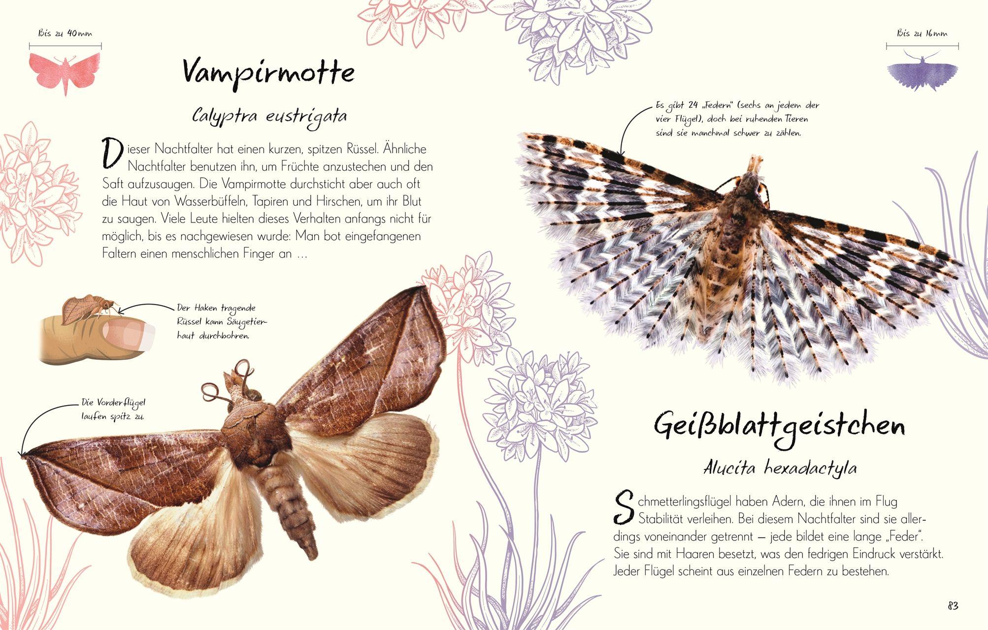 Beispielinhalt (Bild) Wundervolle Welt - Kleine Schätze. Schmetterlinge