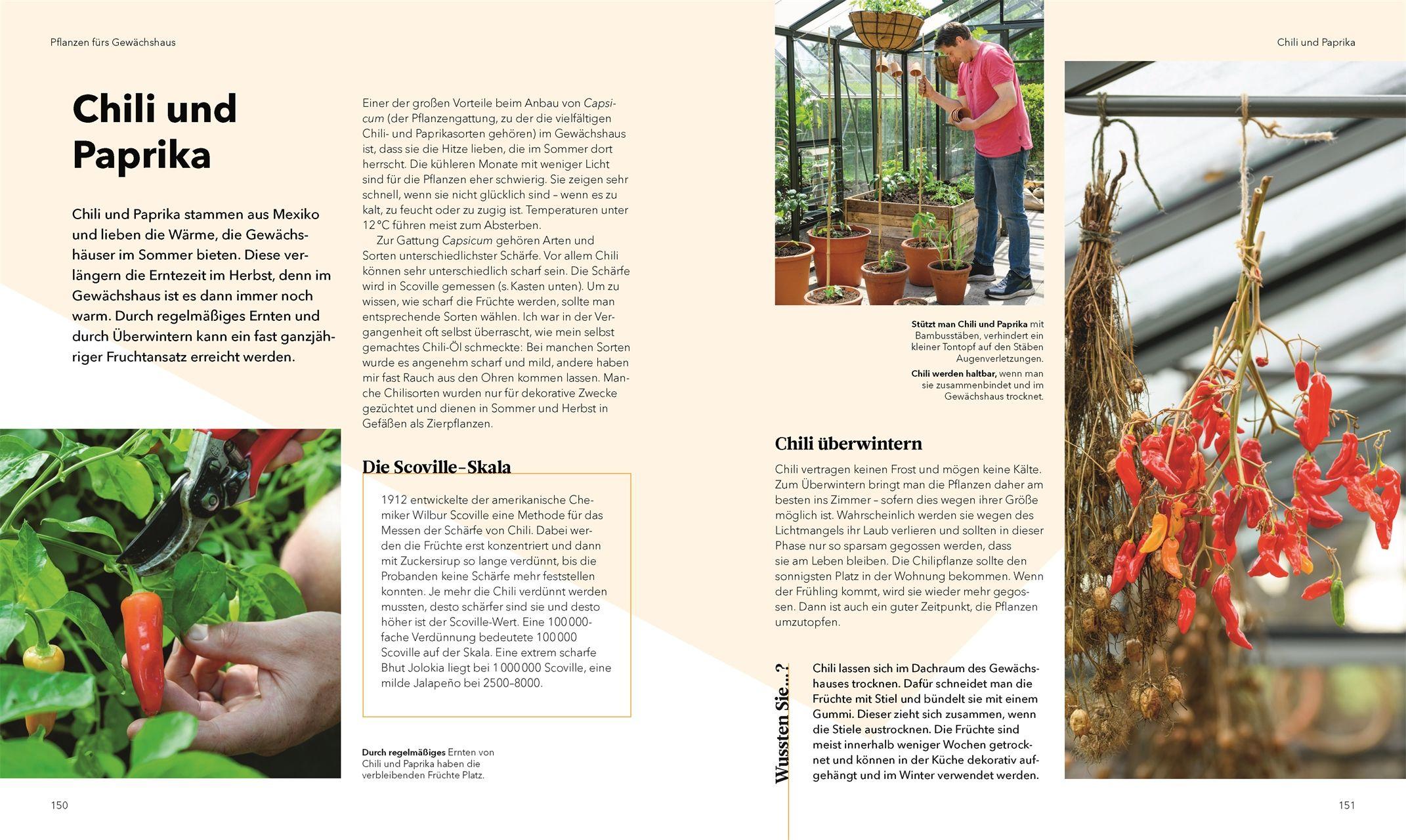 Beispielinhalt (Bild) Alles im Gewächshaus