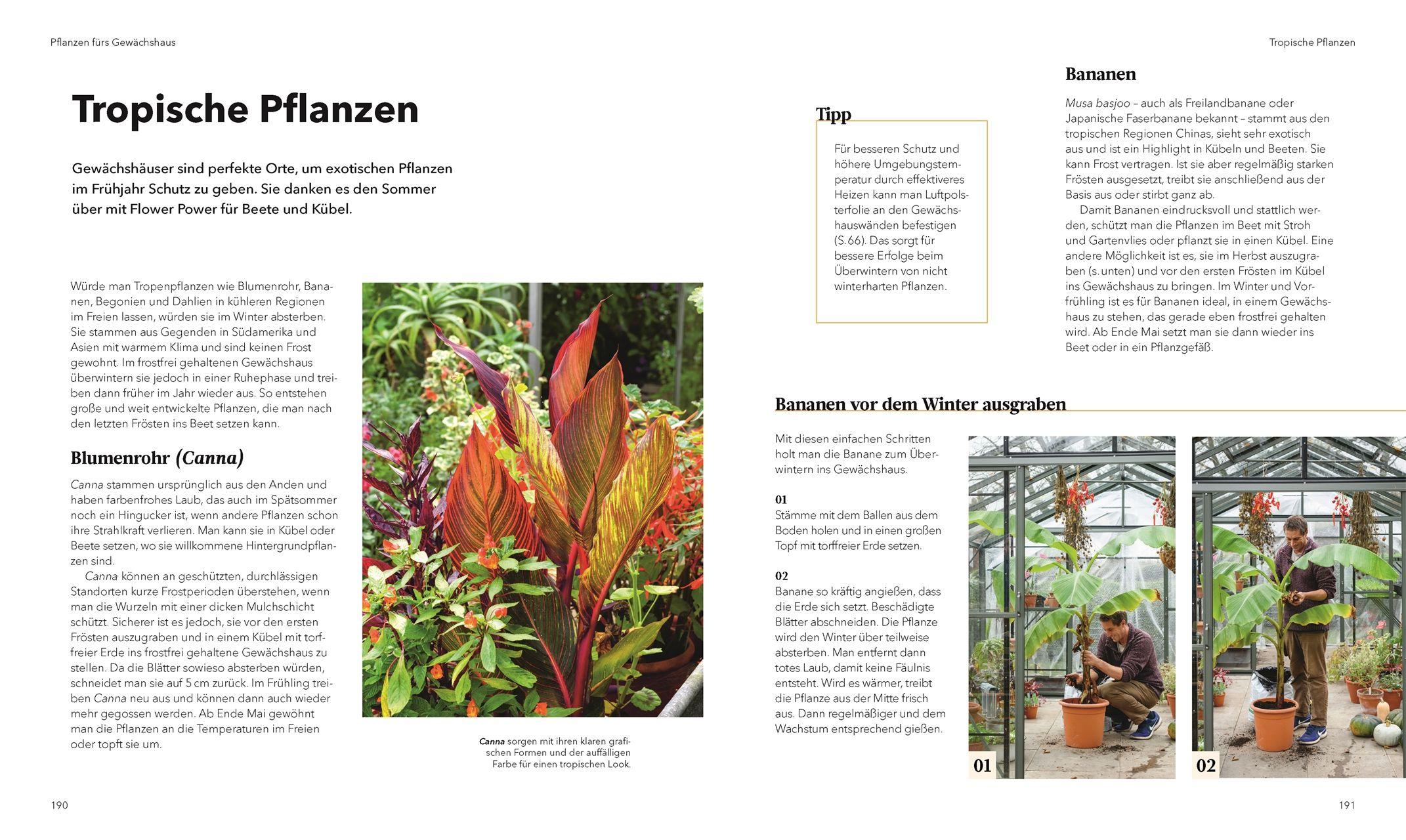 Beispielinhalt (Bild) Alles im Gewächshaus