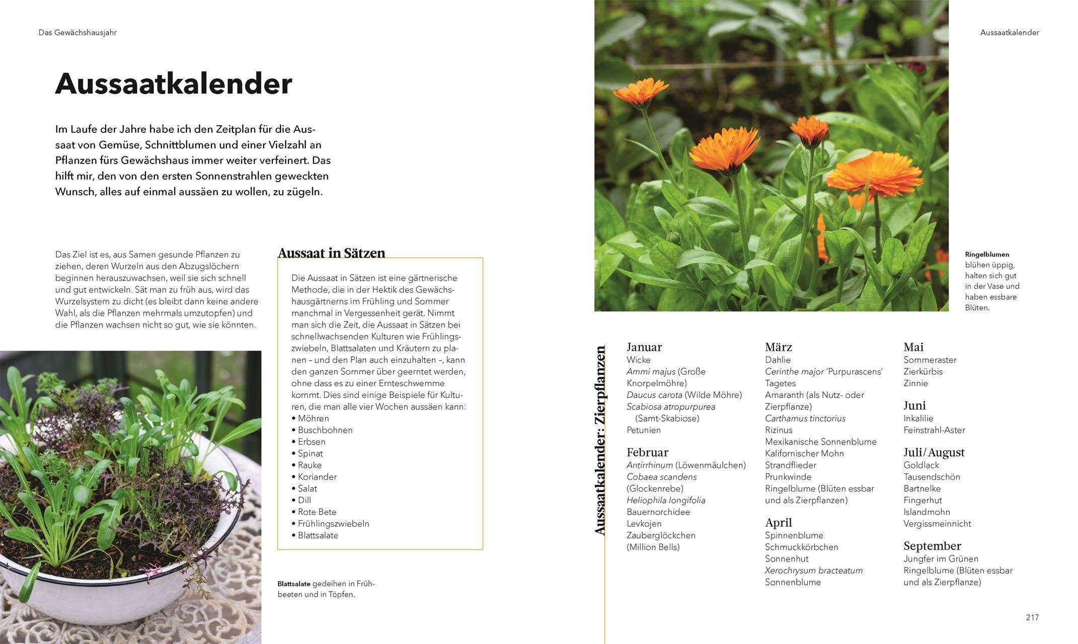 Beispielinhalt (Bild) Alles im Gewächshaus