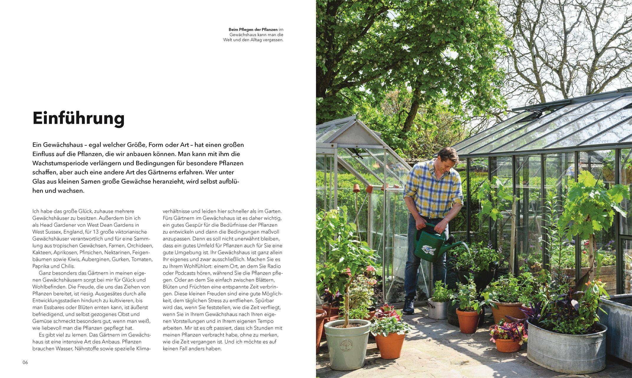 Beispielinhalt (Bild) Alles im Gewächshaus