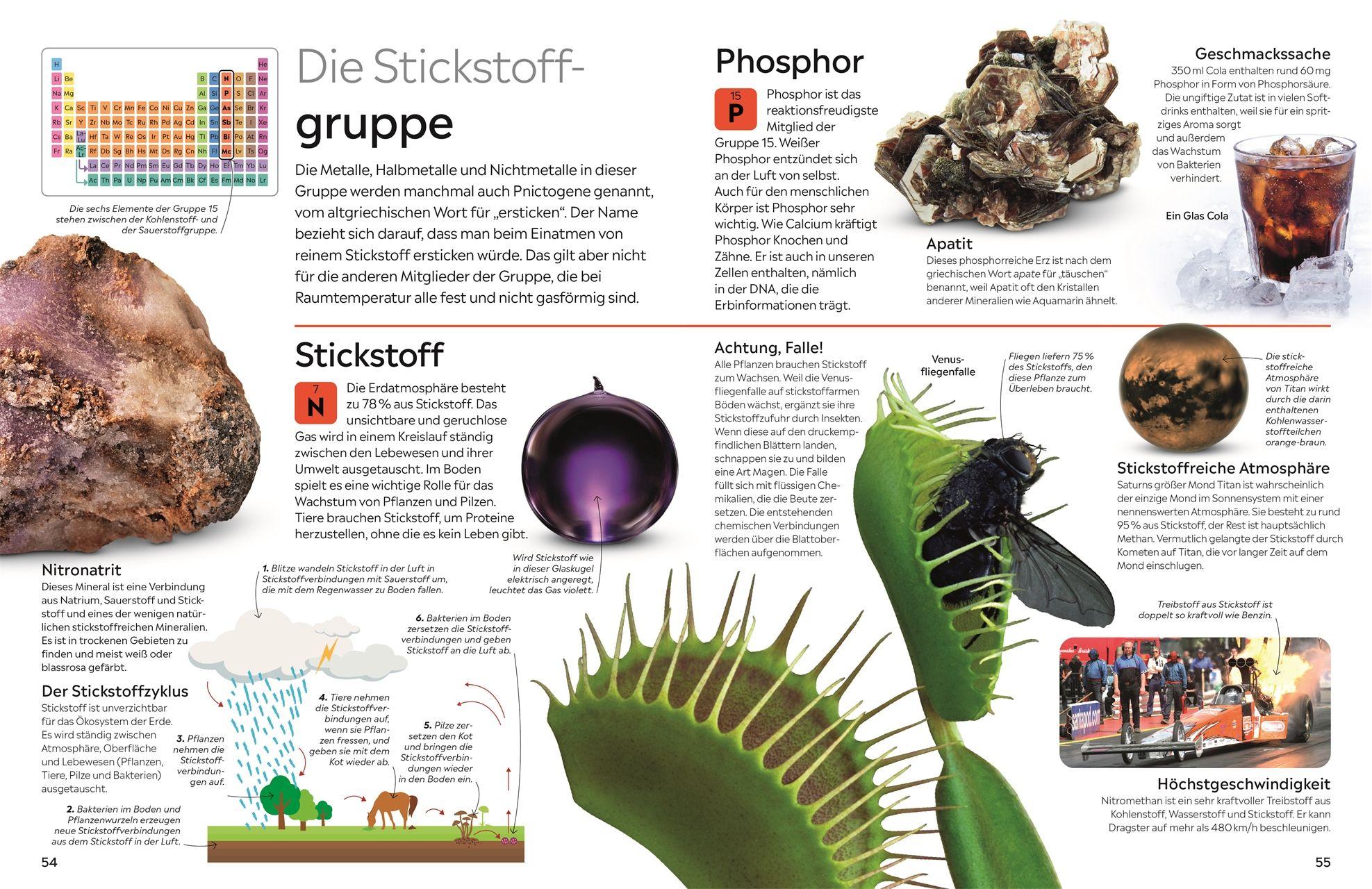 Beispielinhalt (Bild) memo Wissen. Chemische Elemente