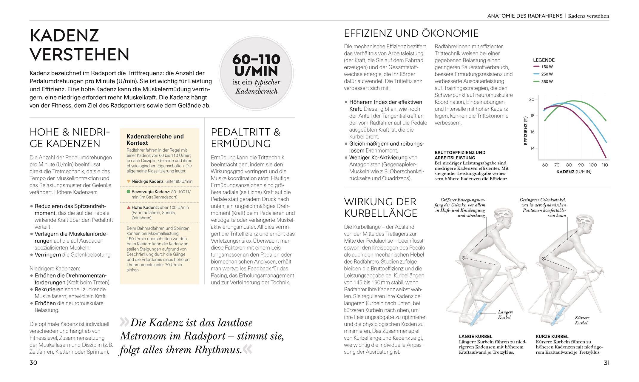 Beispielinhalt (Bild) Radsport - die Anatomie verstehen