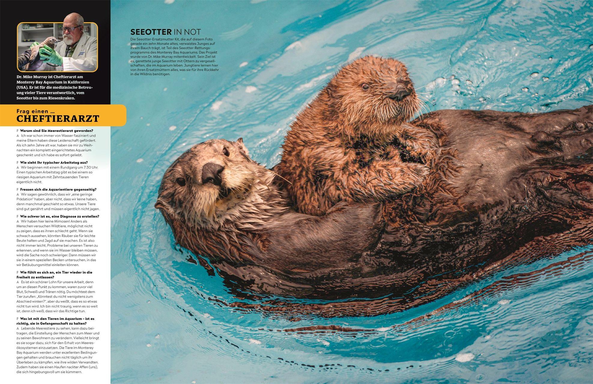 Beispielinhalt (Bild) memo Wissen. Tiere