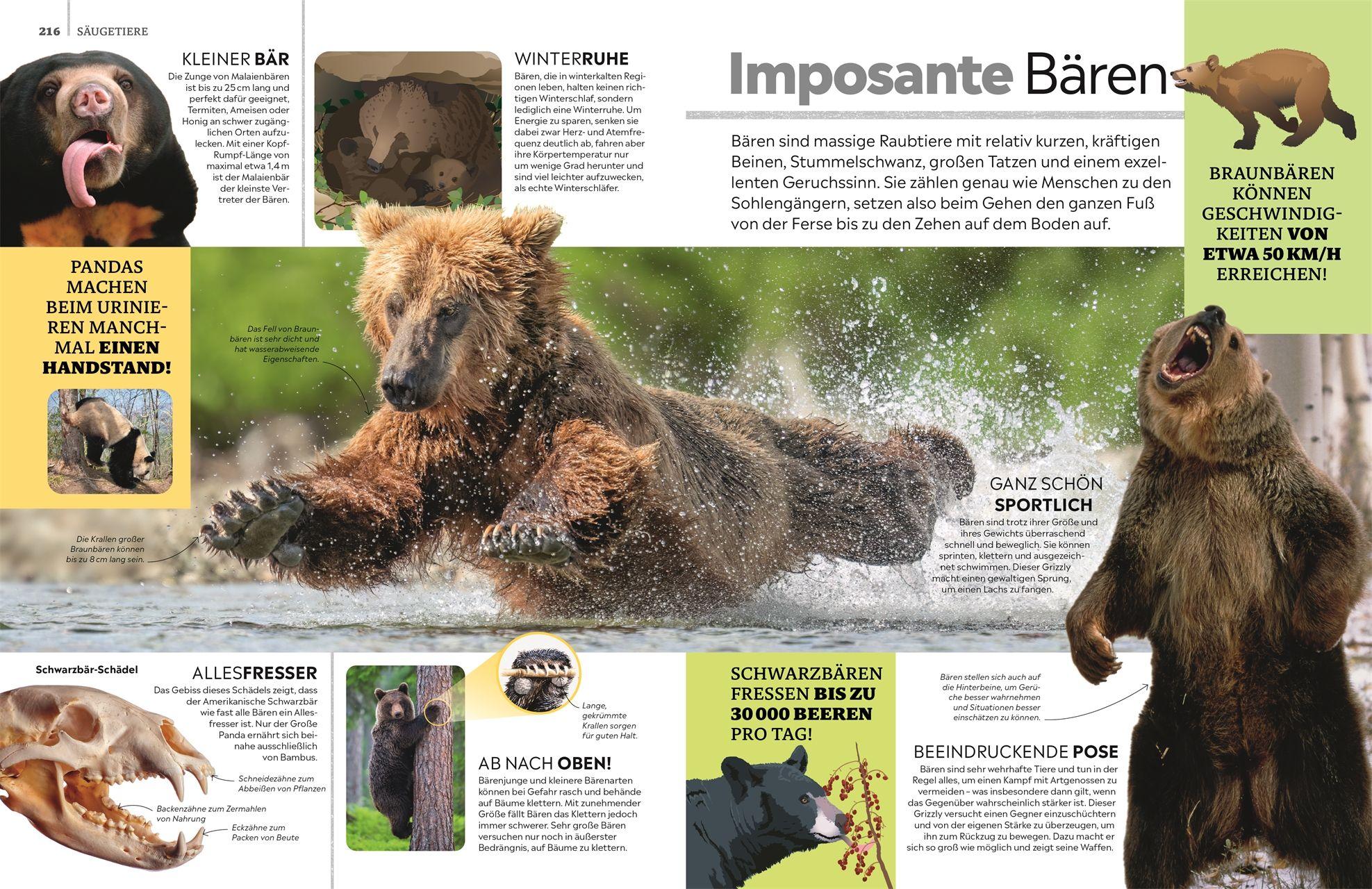 Beispielinhalt (Bild) memo Wissen. Tiere