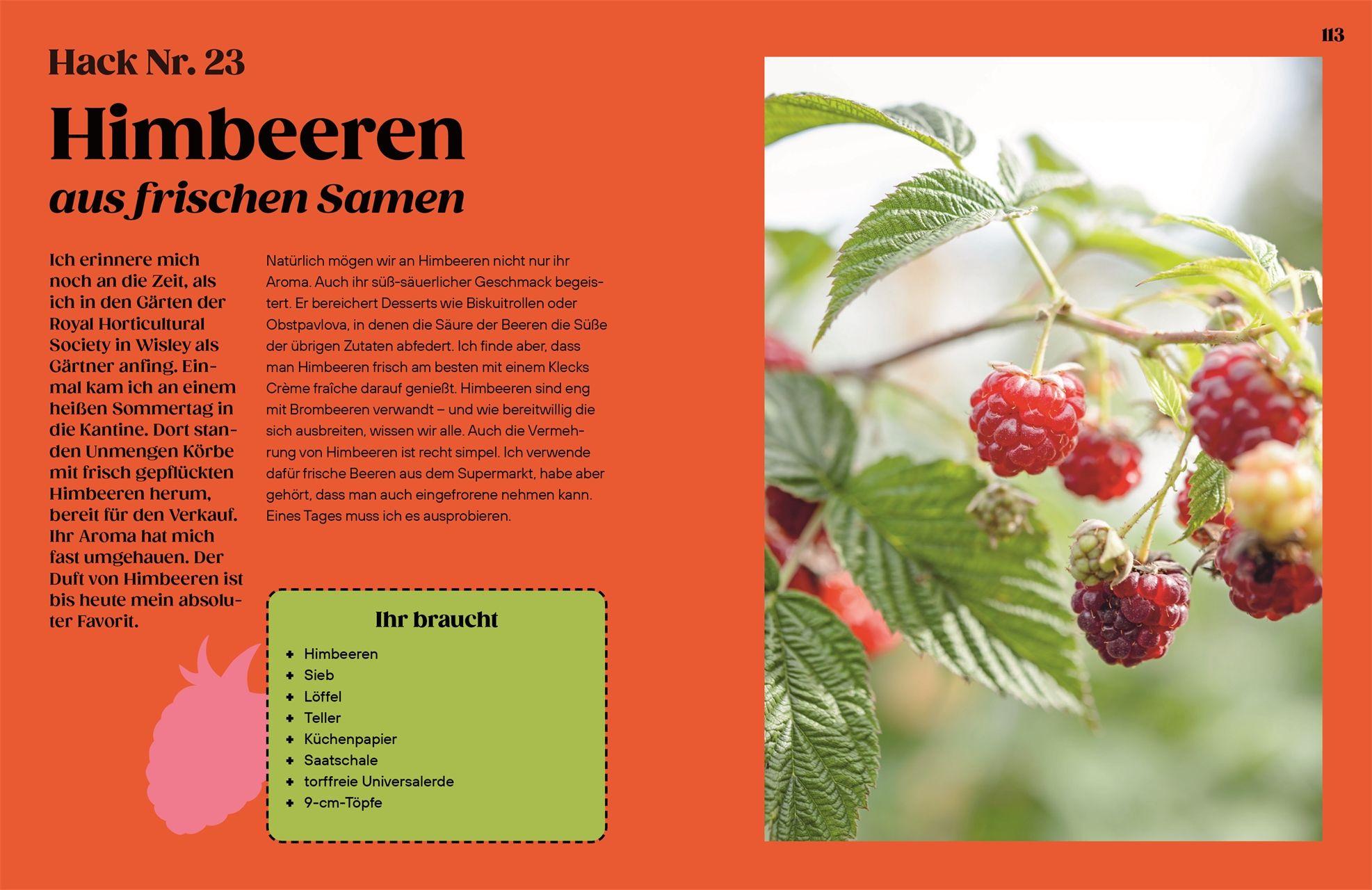 Beispielinhalt (Bild) Regrow