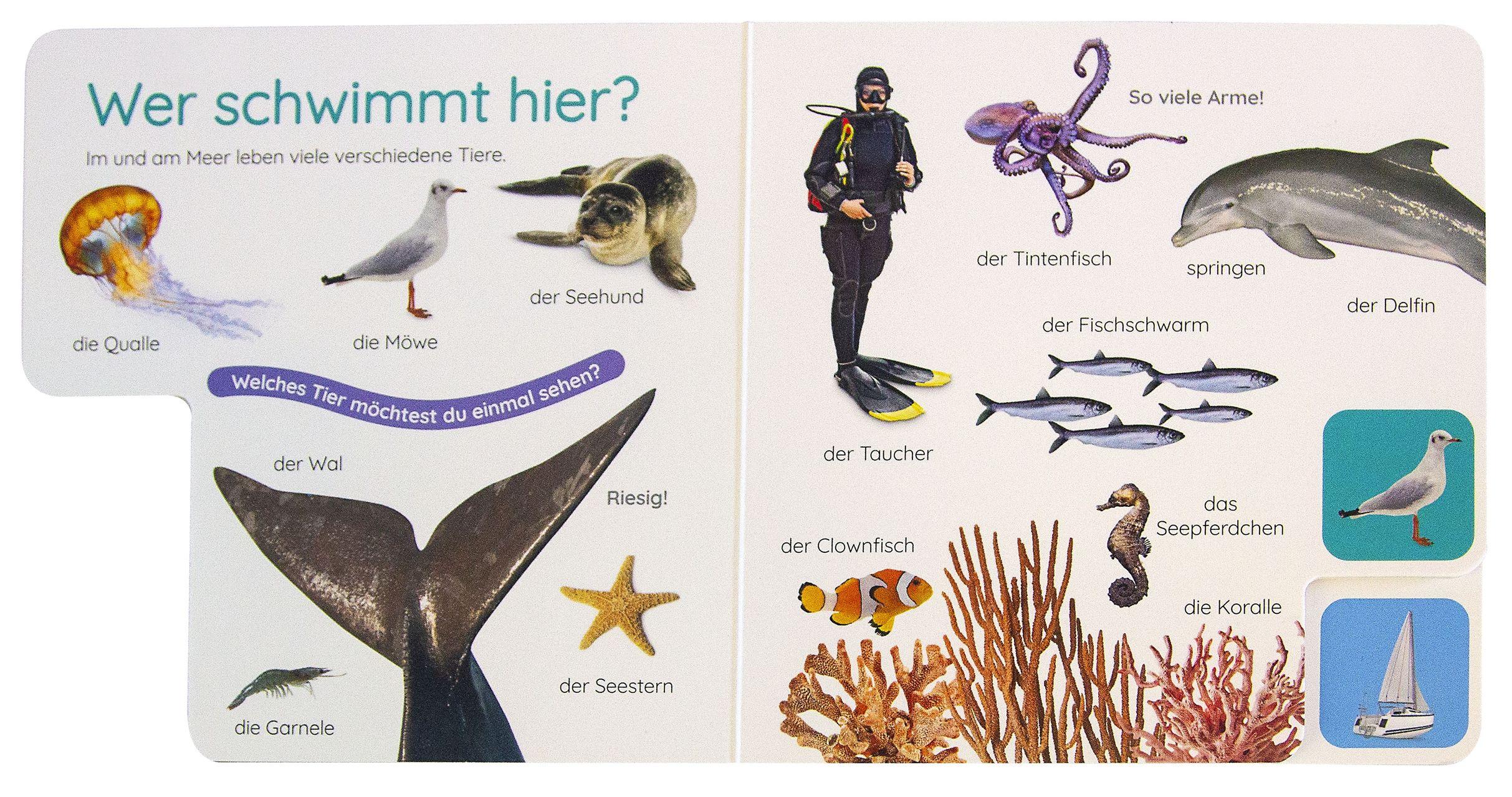 Beispielinhalt (Bild) Erstes Lernen Pocket. Am Meer