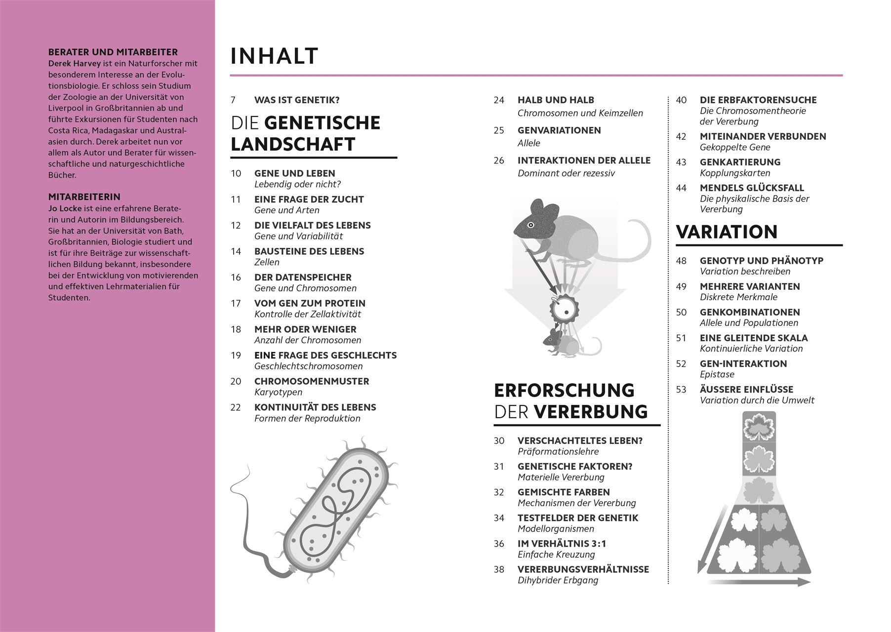 Beispielinhalt (Bild) SIMPLY. Genetik