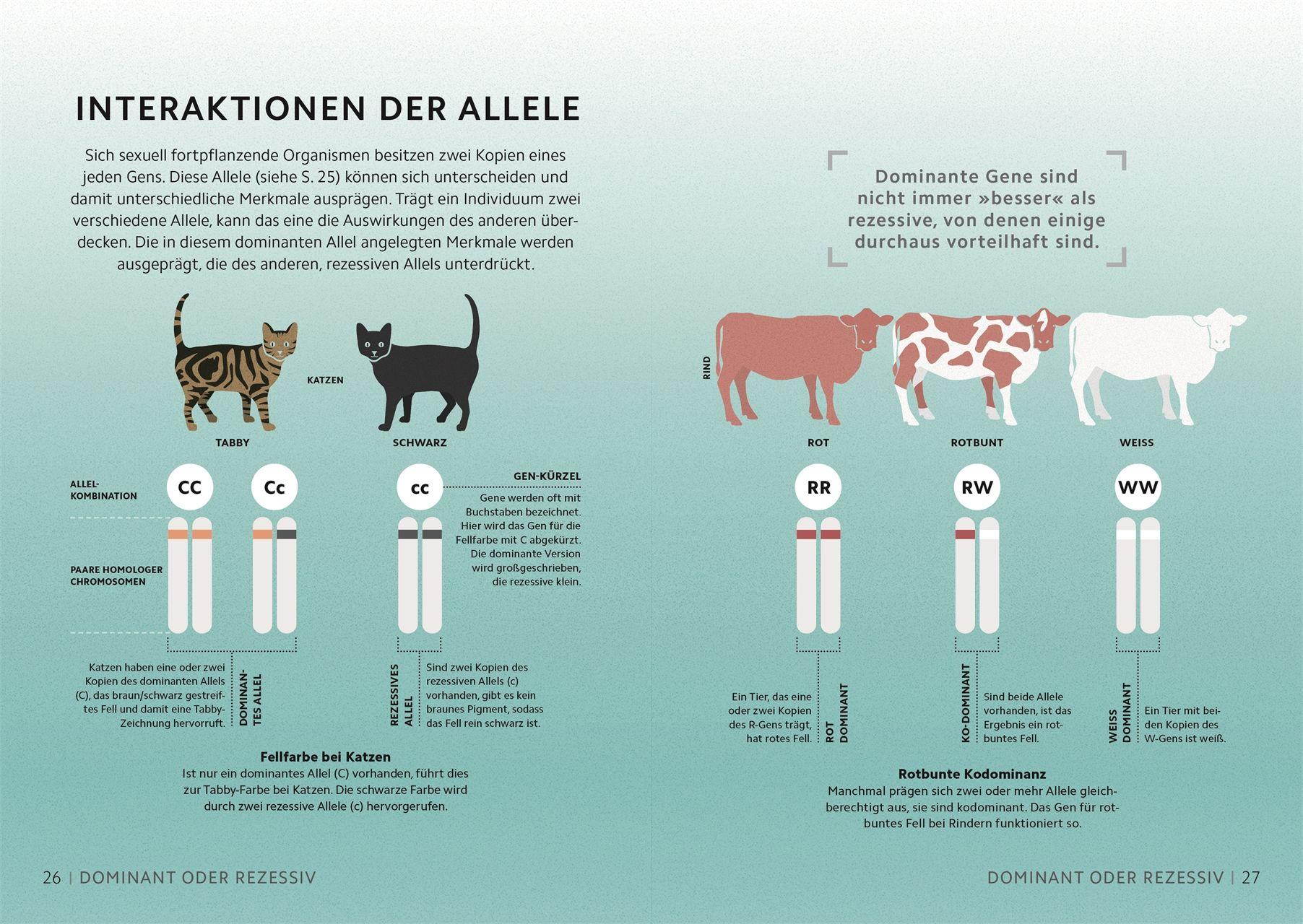 Beispielinhalt (Bild) SIMPLY. Genetik