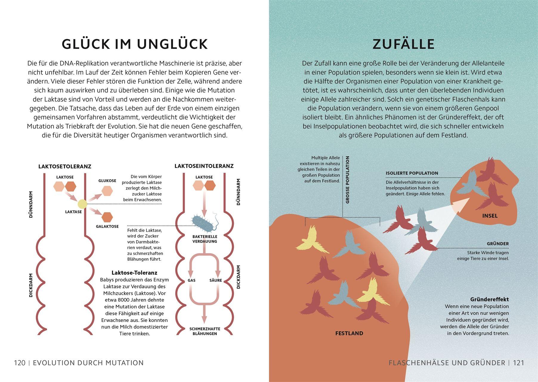 Beispielinhalt (Bild) SIMPLY. Genetik