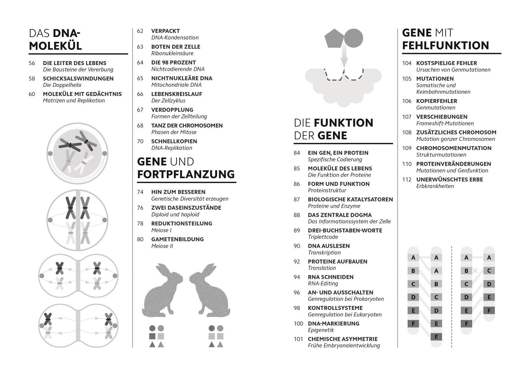 Beispielinhalt (Bild) SIMPLY. Genetik
