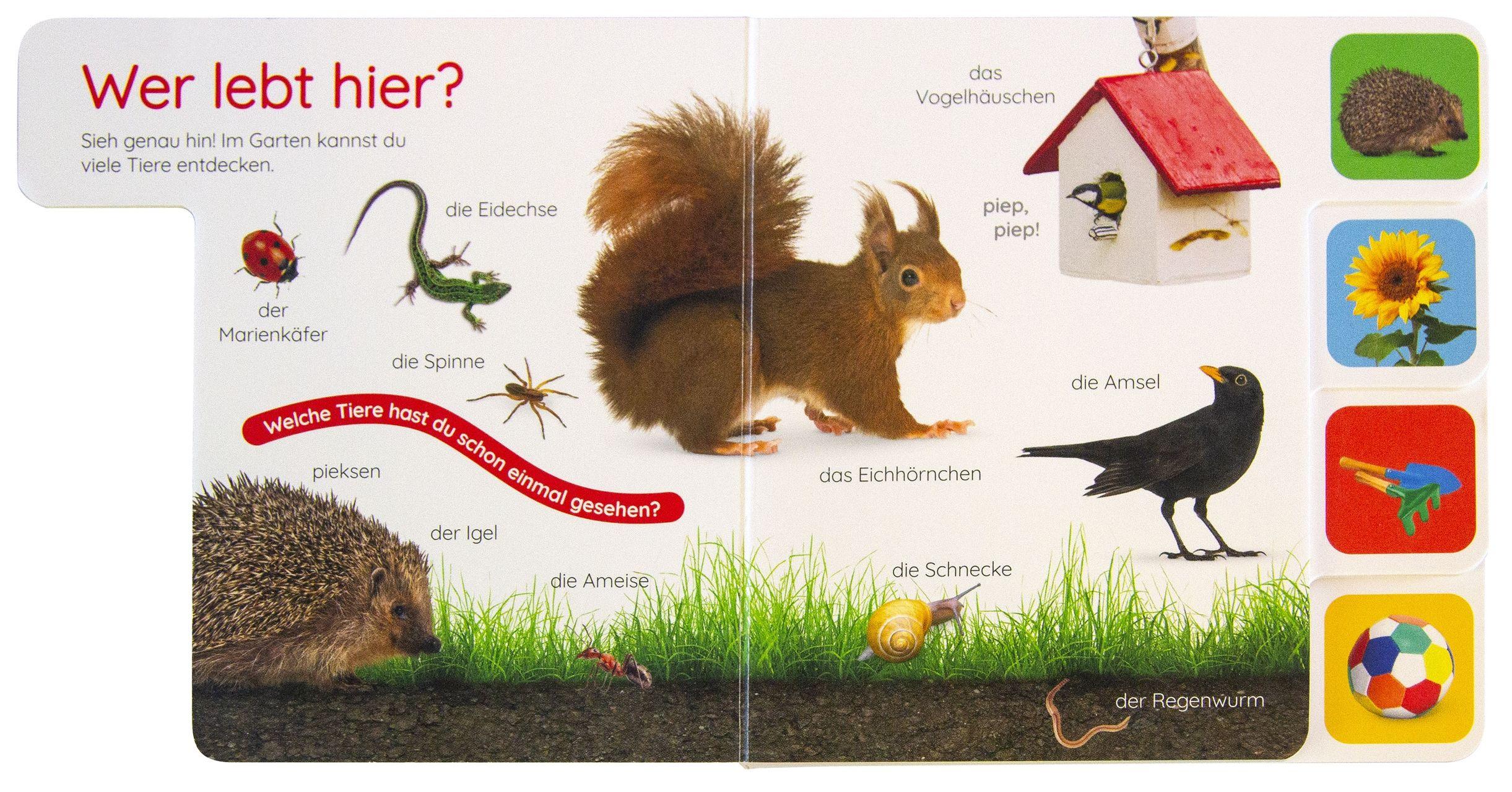 Beispielinhalt (Bild) Erstes Lernen Pocket. Garten