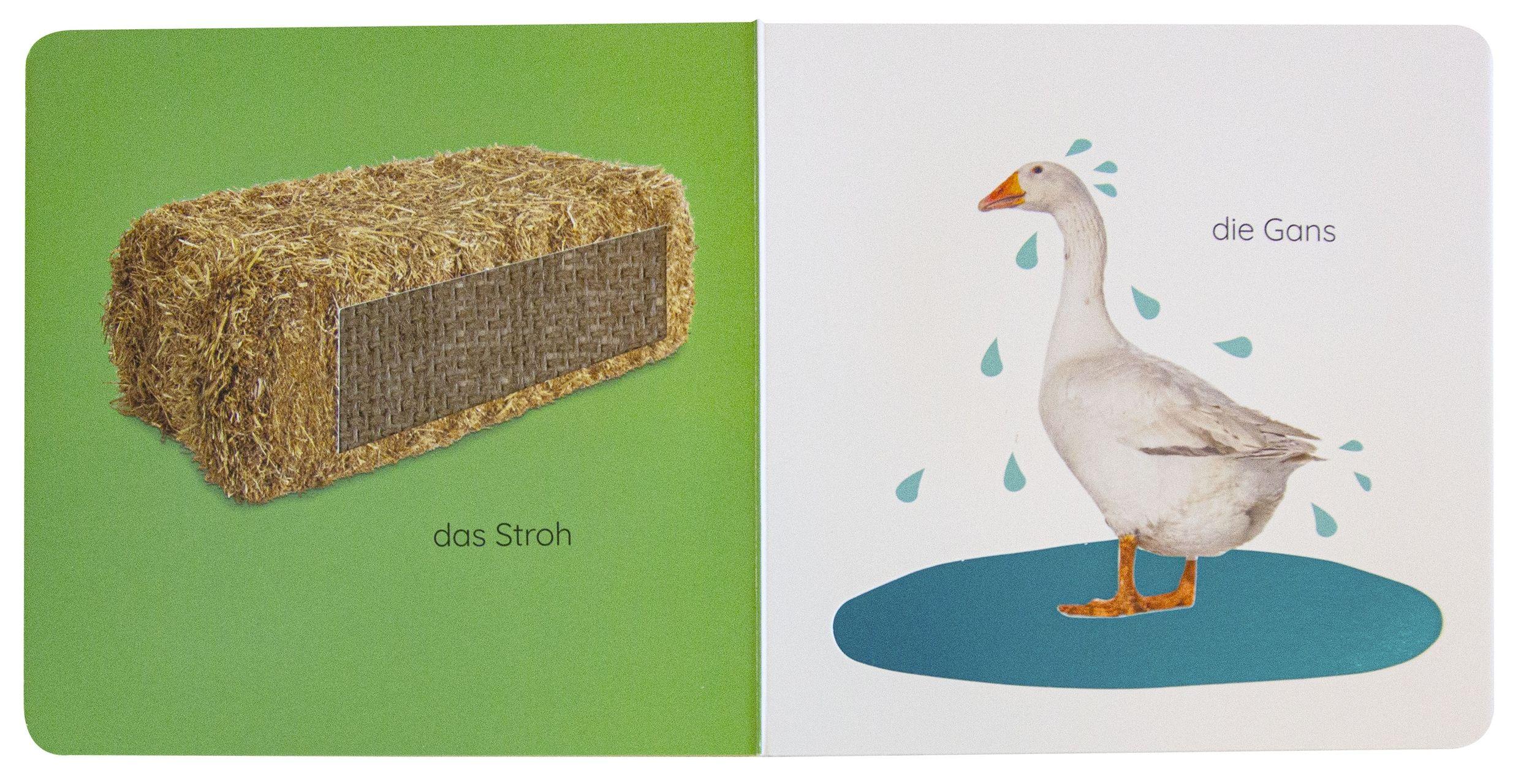 Beispielinhalt (Bild) Erstes Lernen Fühl-Leporello. Bauernhof