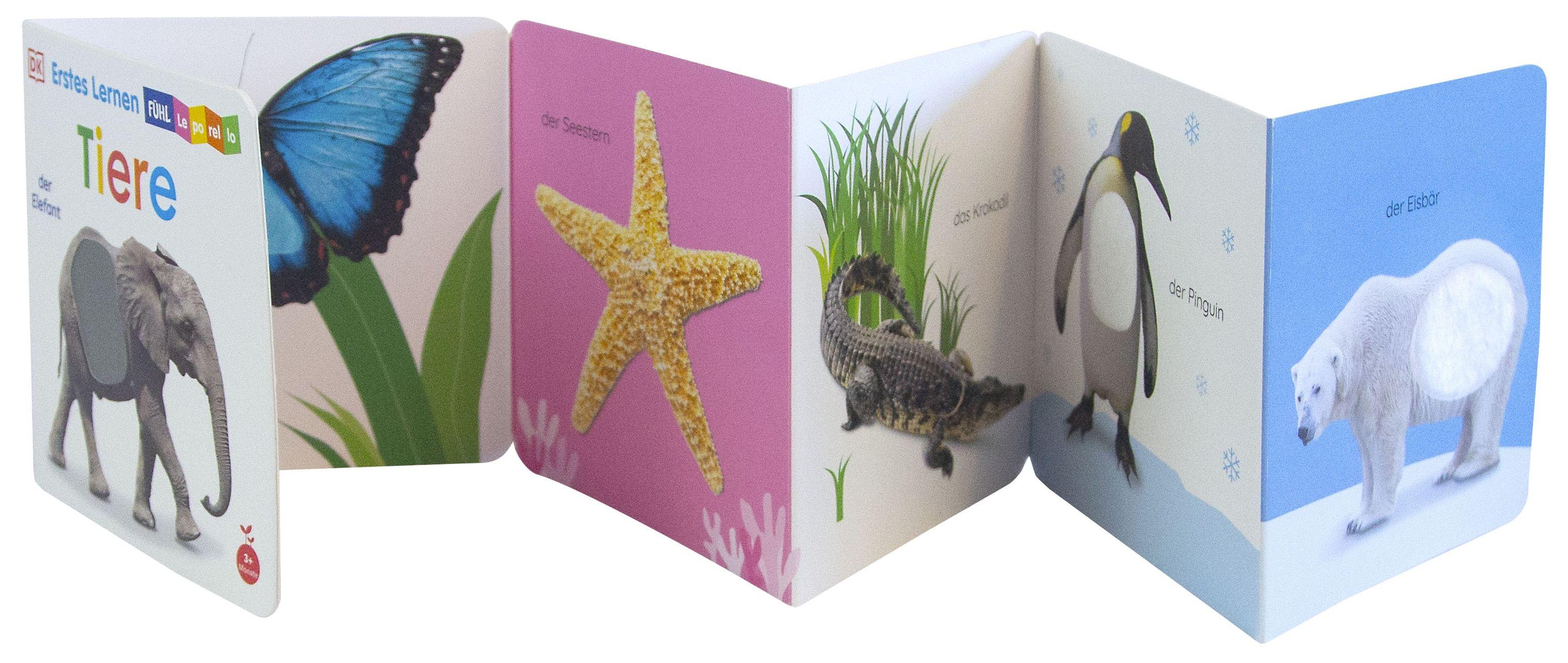Beispielinhalt (Bild) Erstes Lernen Fühl-Leporello. Tiere