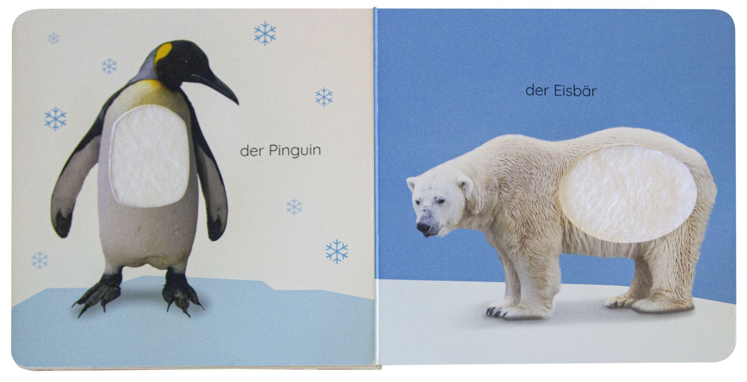 Beispielinhalt (Bild) Erstes Lernen Fühl-Leporello. Tiere