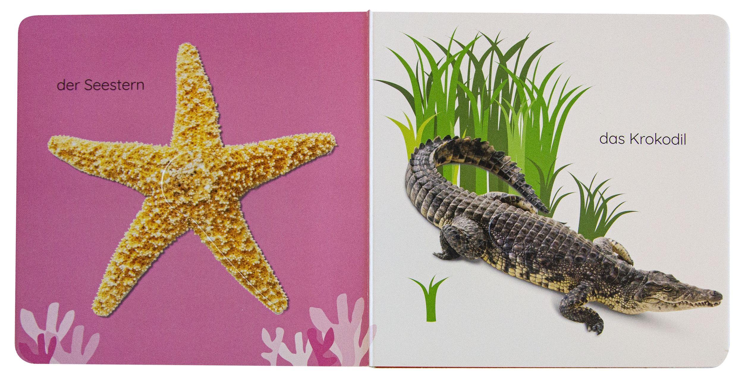 Beispielinhalt (Bild) Erstes Lernen Fühl-Leporello. Tiere