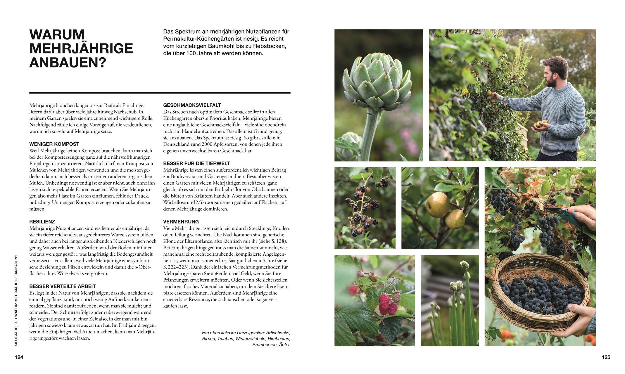 Beispielinhalt (Bild) Permakultur