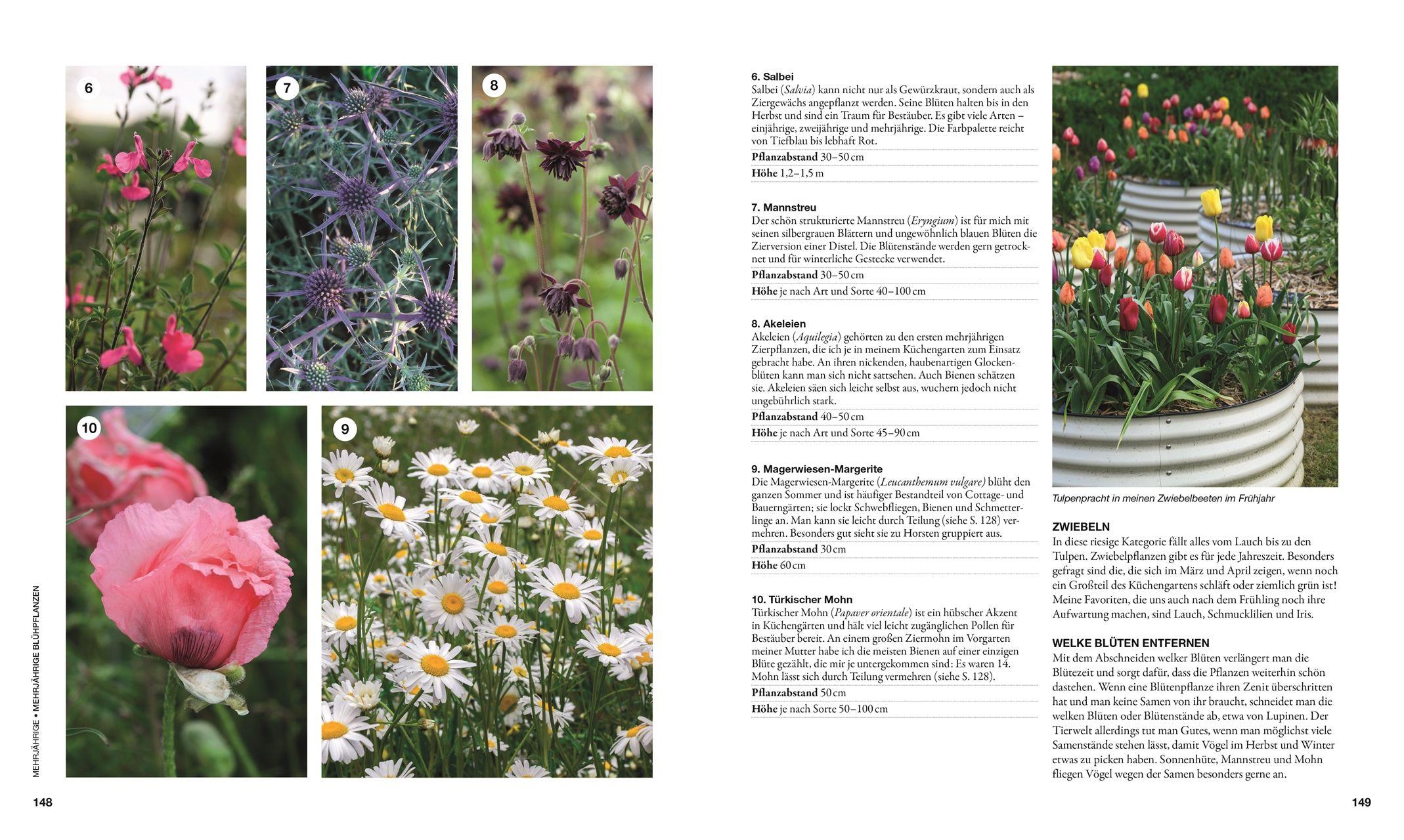 Beispielinhalt (Bild) Permakultur