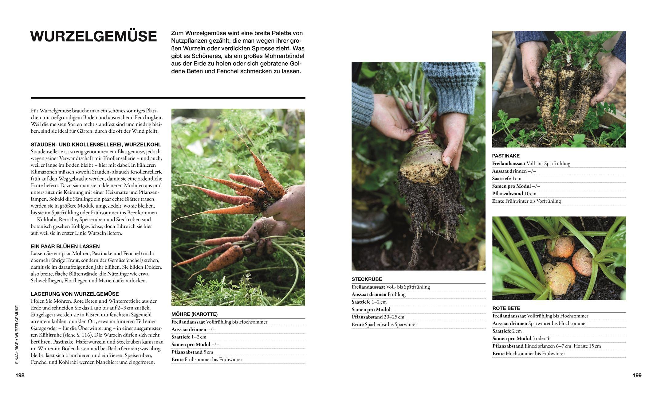 Beispielinhalt (Bild) Permakultur