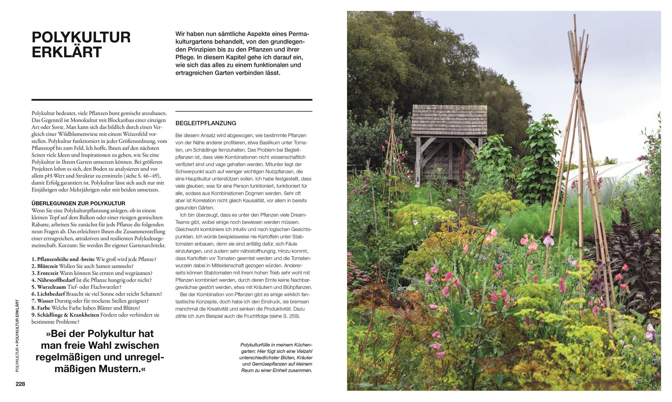 Beispielinhalt (Bild) Permakultur