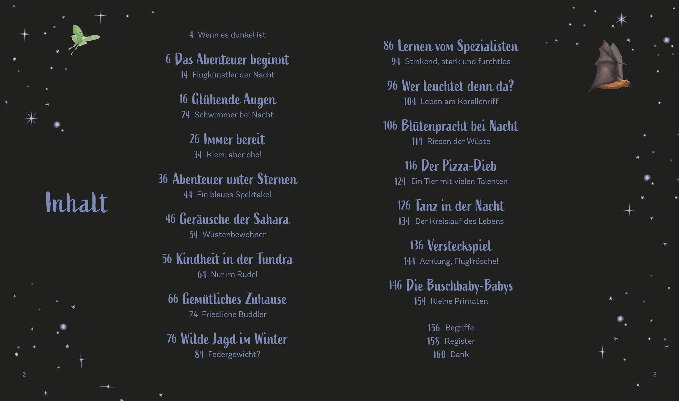 Beispielinhalt (Bild) Tiergeschichten zum Träumen. Zauber der Nacht