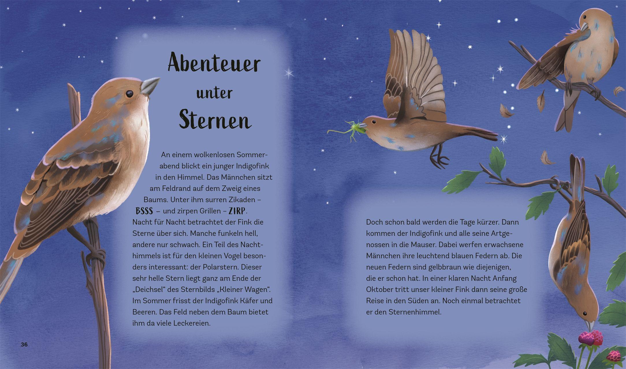 Beispielinhalt (Bild) Tiergeschichten zum Träumen. Zauber der Nacht