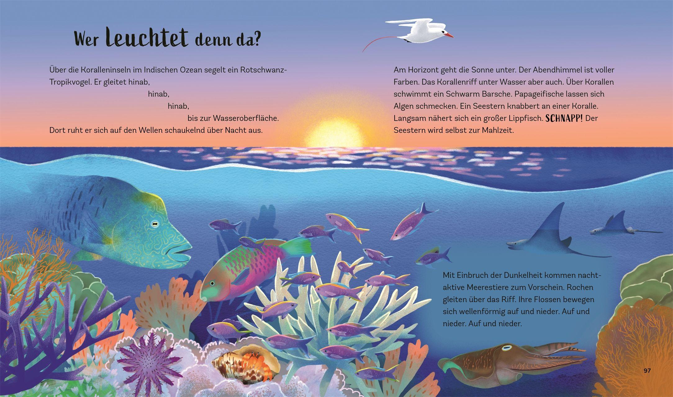 Beispielinhalt (Bild) Tiergeschichten zum Träumen. Zauber der Nacht