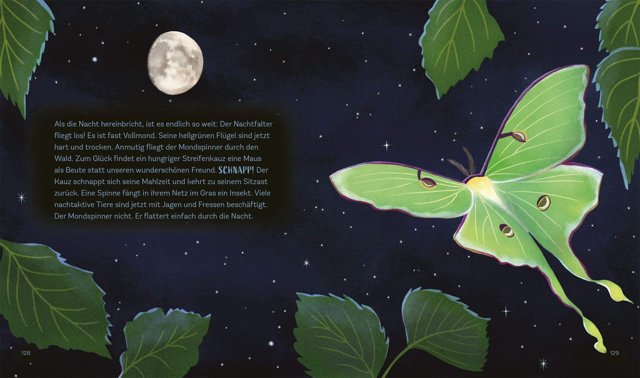 Beispielinhalt (Bild) Tiergeschichten zum Träumen. Zauber der Nacht