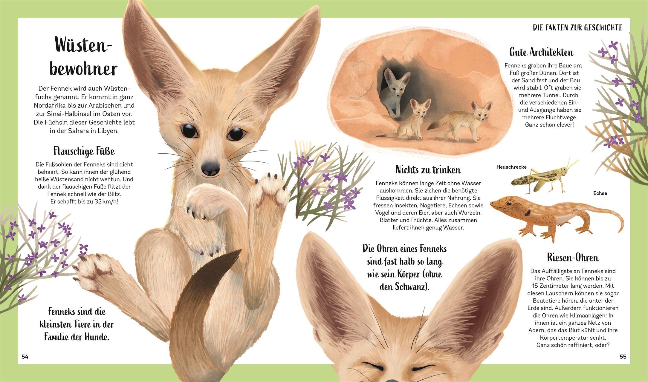 Beispielinhalt (Bild) Tiergeschichten zum Träumen. Zauber der Nacht