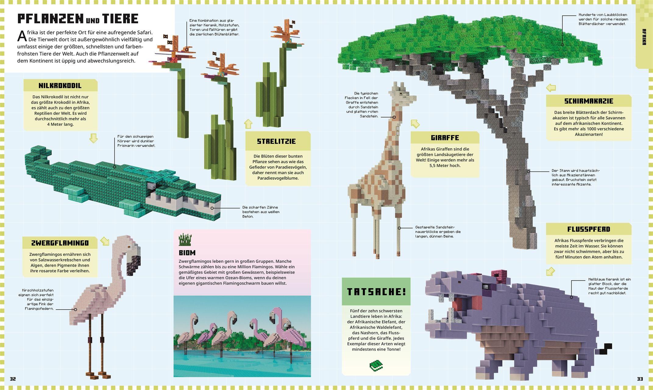 Beispielinhalt (Bild) Minecraft Weltatlas