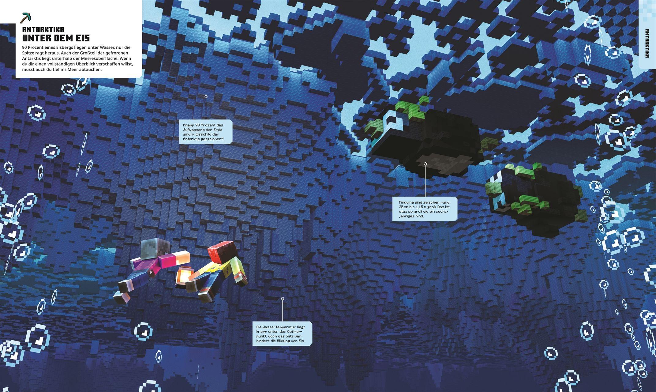 Beispielinhalt (Bild) Minecraft Weltatlas