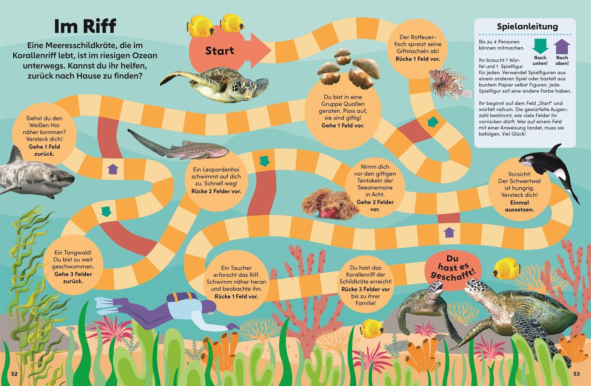 Beispielinhalt (Bild) memo Wissen Kids. Das Meer