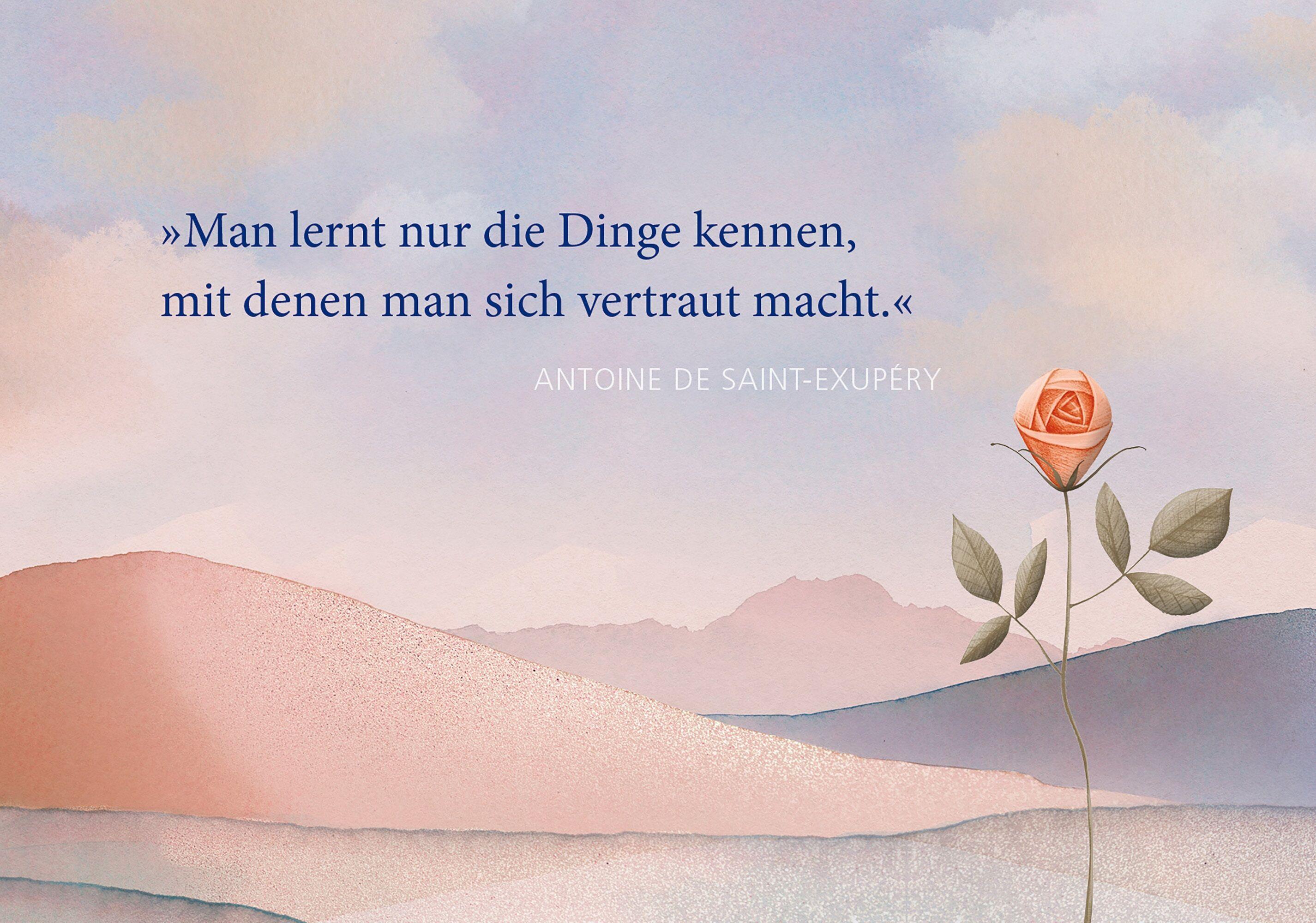 Beispielinhalt (Bild) Postkarten-Set Antoine de Saint-Exupéry