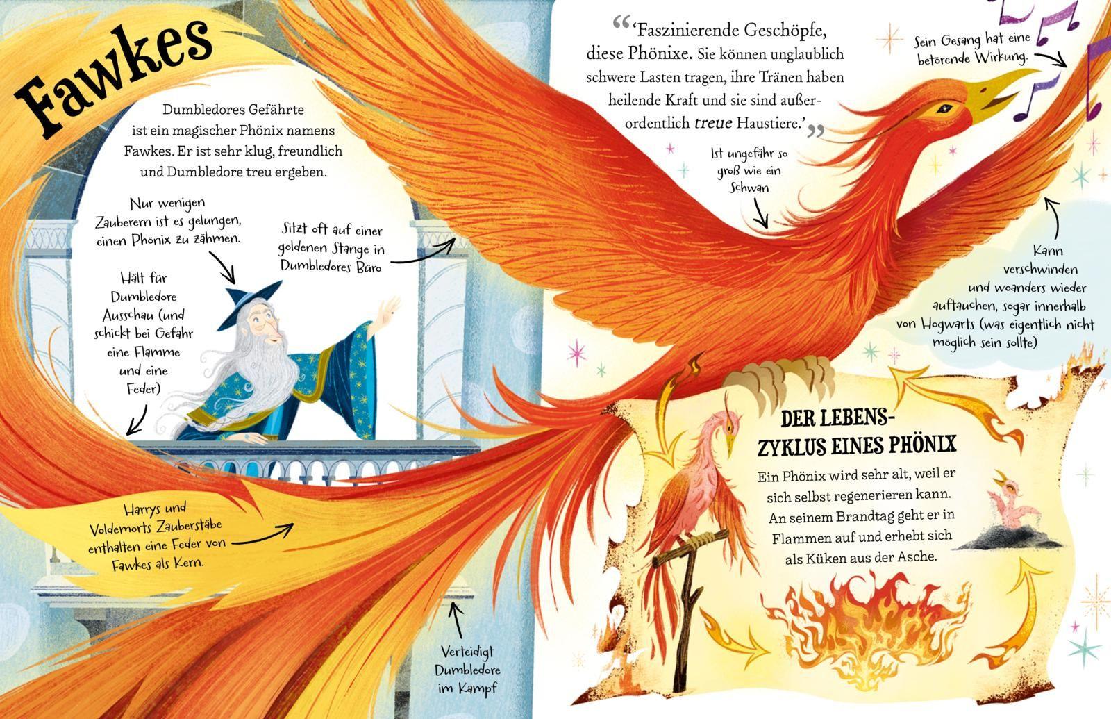 Beispielinhalt (Bild) Potter Guides: Professor Dumbledore