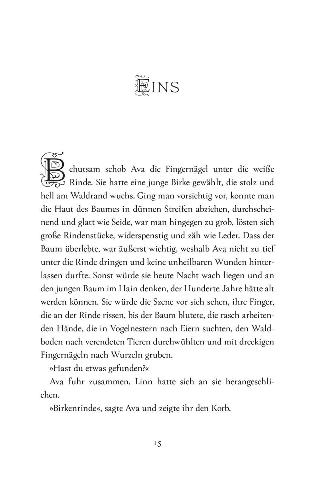 Beispielinhalt (Bild) Eventyr-Saga 1: Tochter des Nebelwalds